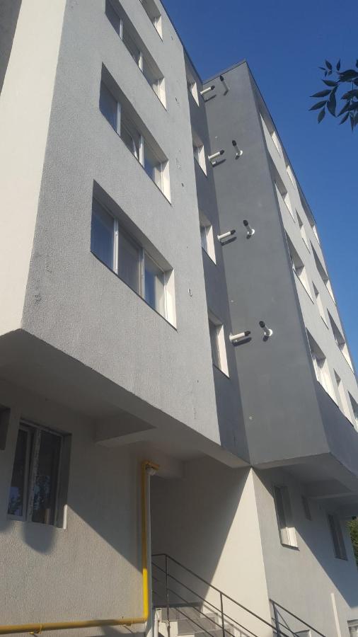 Modern & Elegant Apartament クラヨーヴァ エクステリア 写真