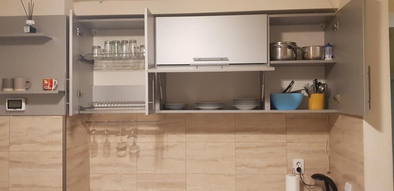 Modern & Elegant Apartament クラヨーヴァ エクステリア 写真