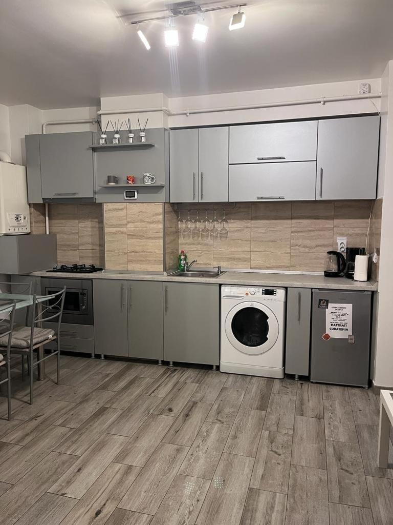Modern & Elegant Apartament クラヨーヴァ エクステリア 写真